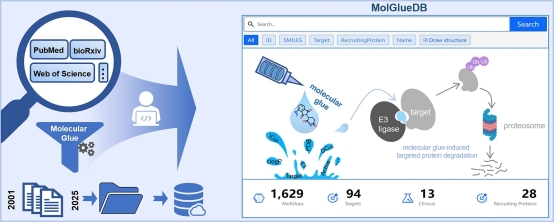 【秦冲课题组】发布分子胶数据库MolGlueDB