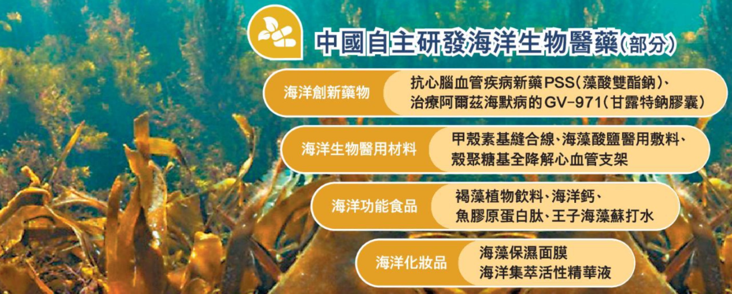 香港文汇报整版报道海洋生物医药进展