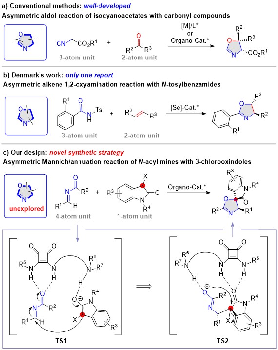 【王杨课题组】在手性噁唑啉不对称催化合成领域取得新进展